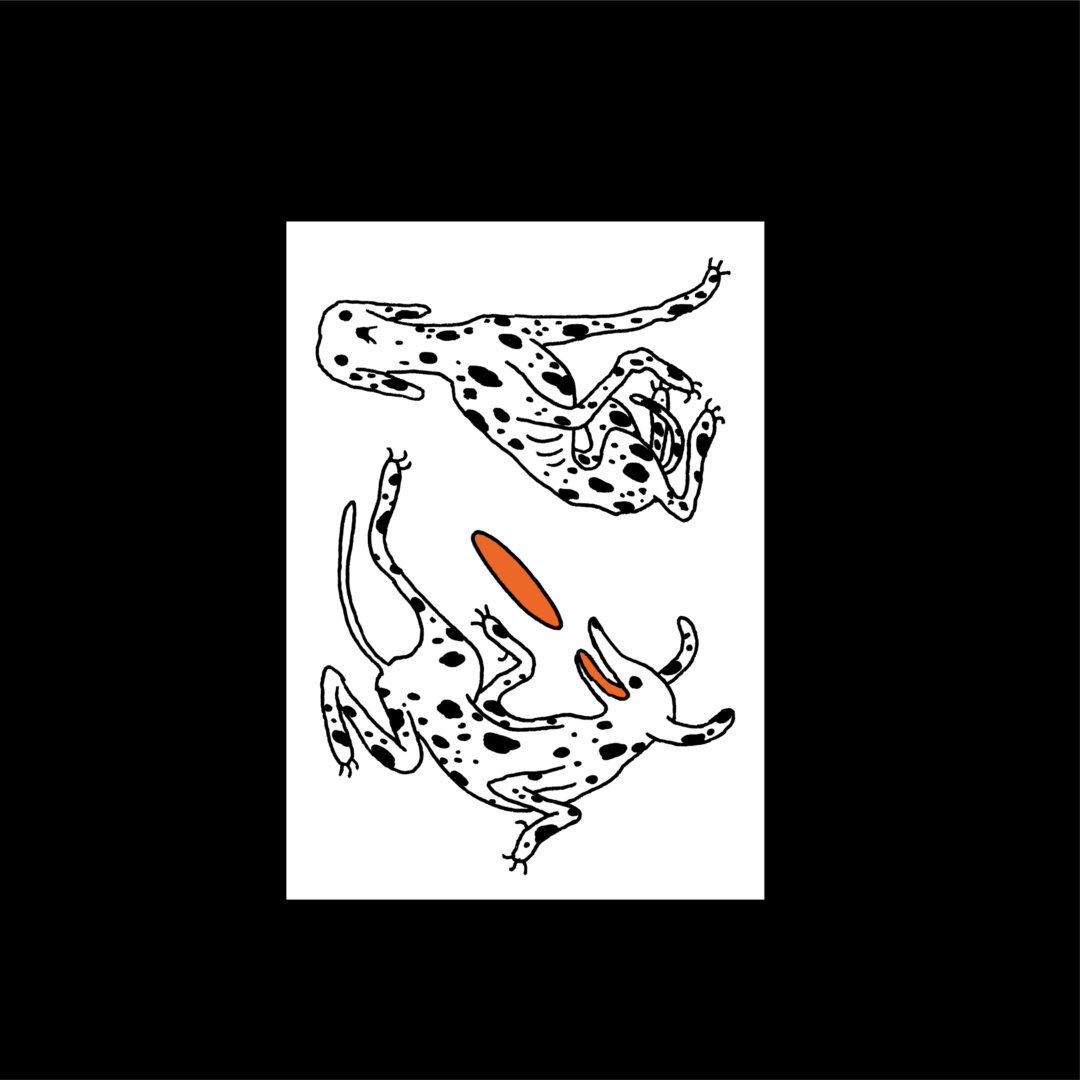 Anna Haifisch — Dalmatian