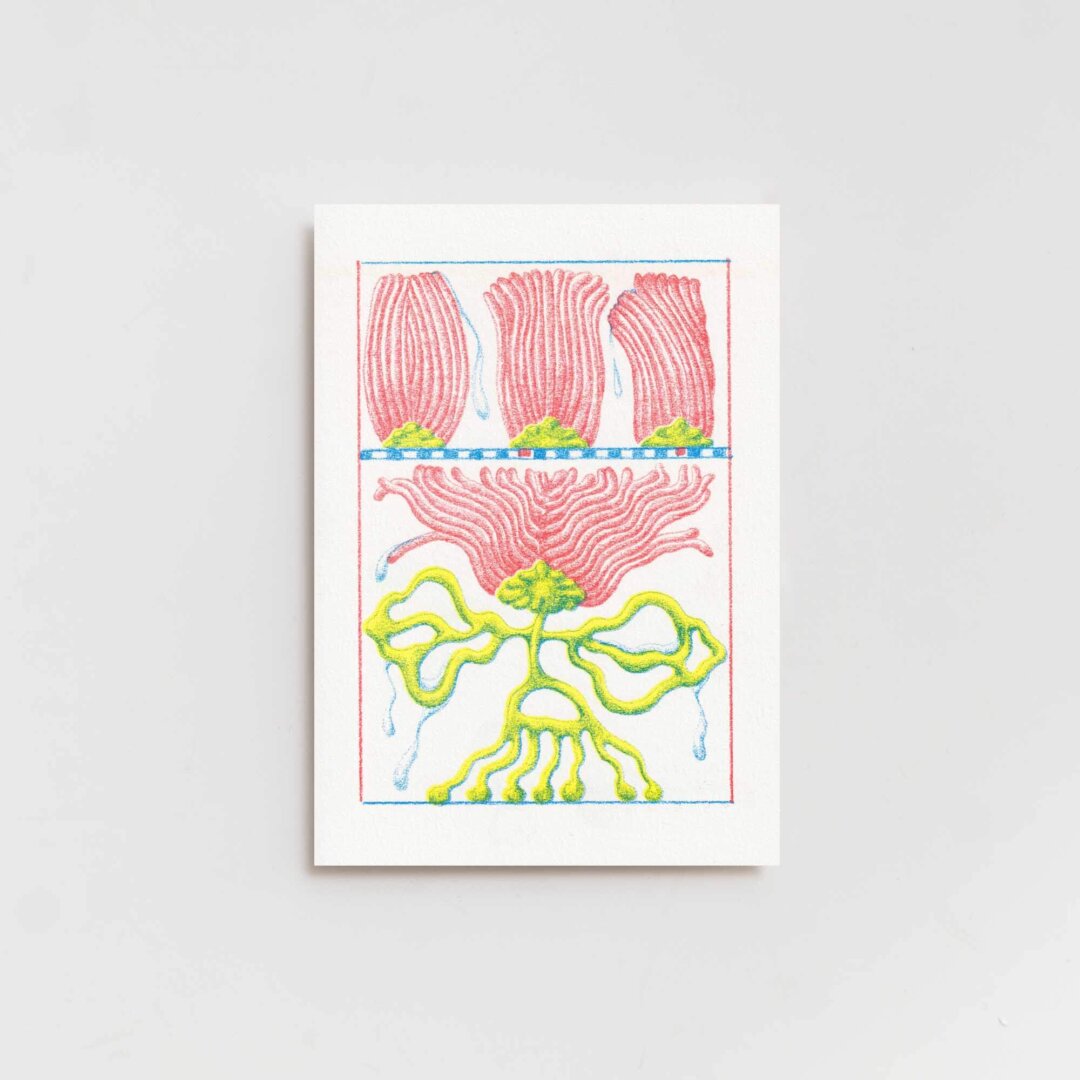 Csenge Csató —  Postcard Set