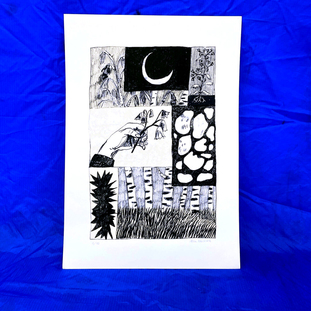 Alica Naimark — Birken und Kartoffeln