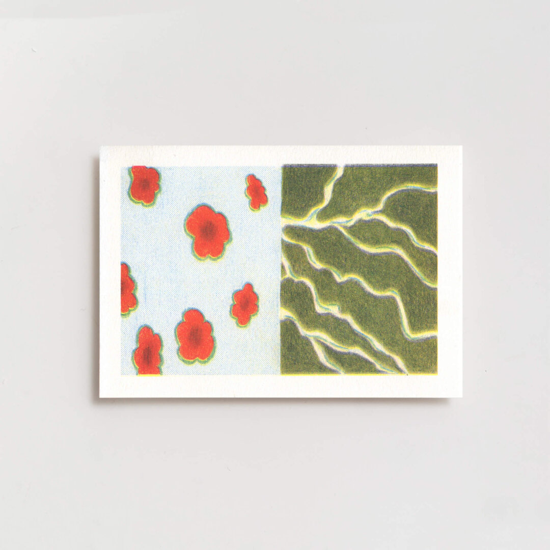 Tess Meyer — Drawings Set