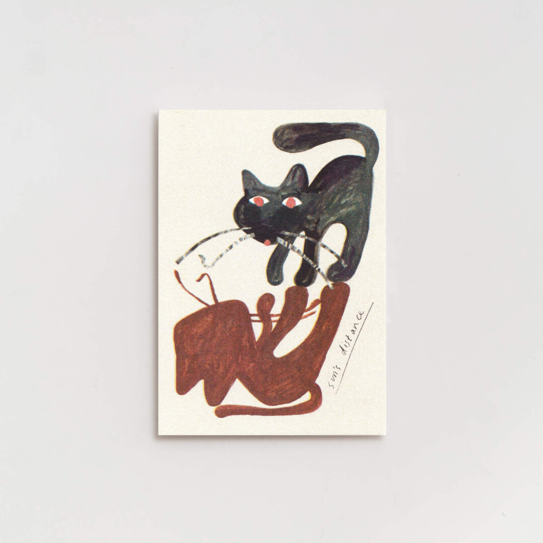 Molly Fairhurst —  Companion