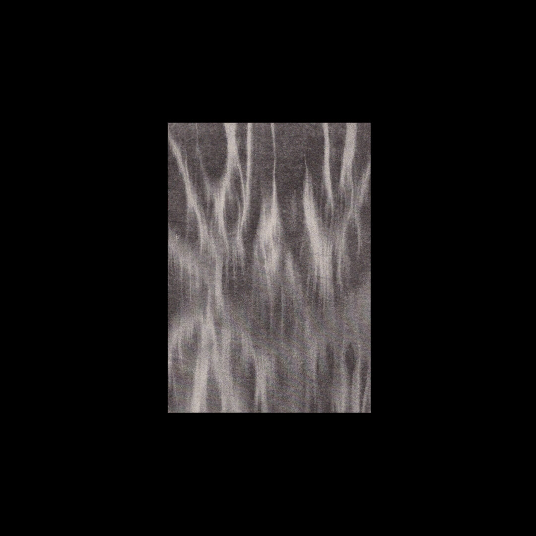 Julia Selin — The insect’s innermost desire